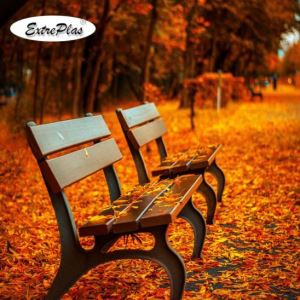 حديقة مقاعد البدلاء